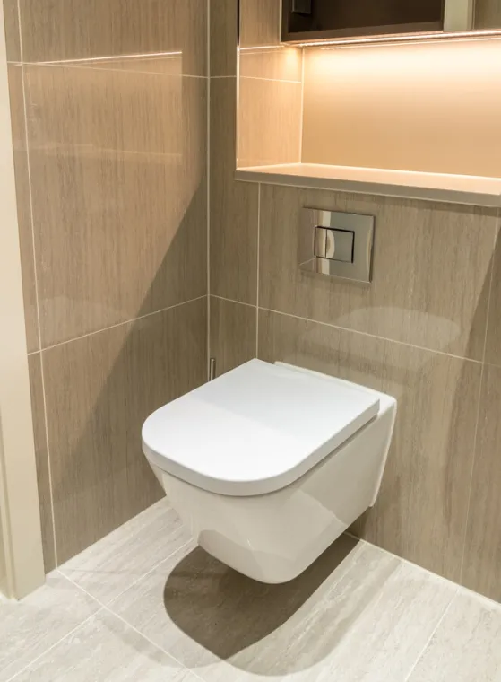 Dépannage urgent pour WC bouchés à Albertville, Albertville, G2P